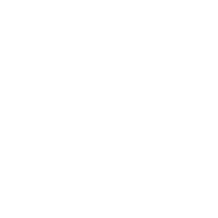 HTML / CSS / JS